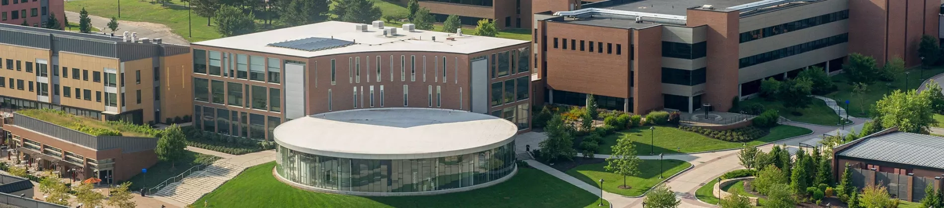 Animation Option - Film and Animation